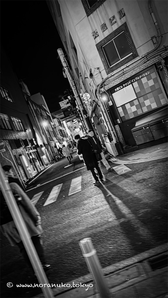 f:id:usakohiroshi242:20240309162256j:image