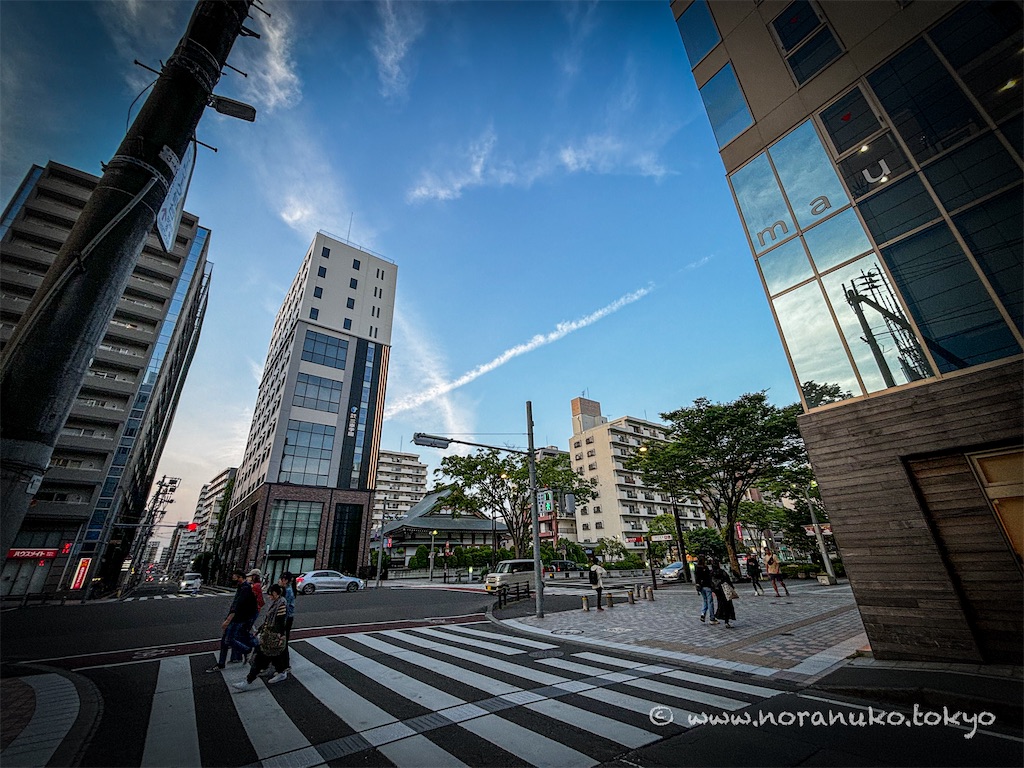 f:id:usakohiroshi242:20240526210418j:image