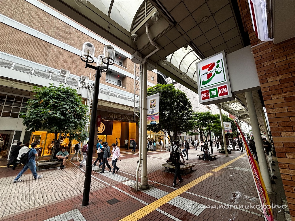 f:id:usakohiroshi242:20240602055006j:image