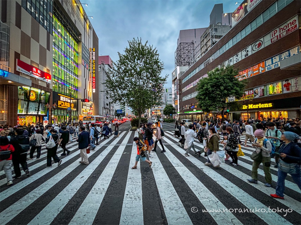 f:id:usakohiroshi242:20240602055019j:image