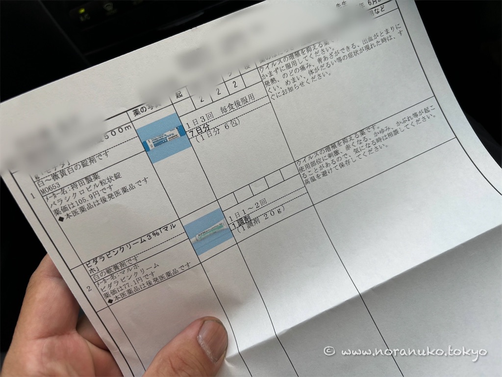 f:id:usakohiroshi242:20240629054239j:image