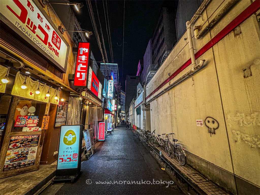 f:id:usakohiroshi242:20240630224226j:image