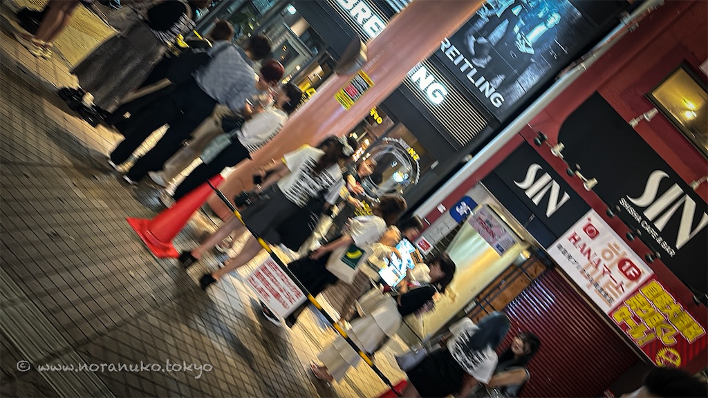 f:id:usakohiroshi242:20240630224704j:image