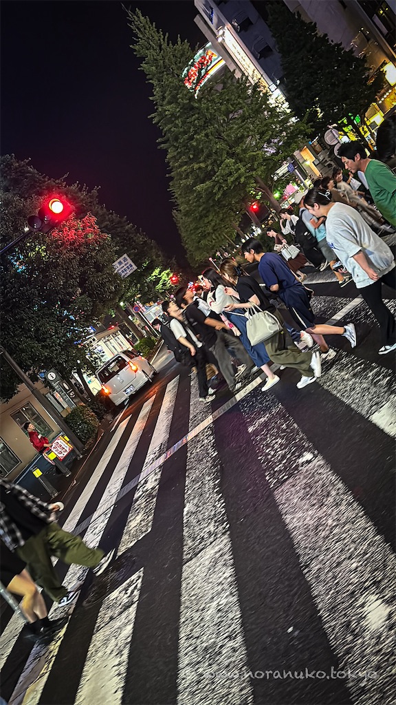 f:id:usakohiroshi242:20240630224716j:image