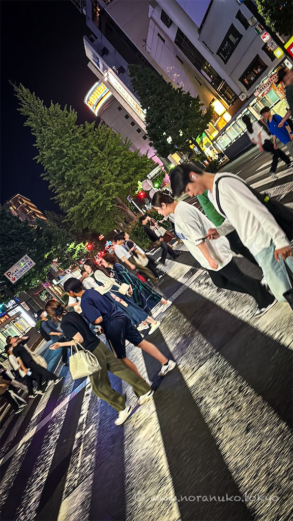 f:id:usakohiroshi242:20240630224729j:image