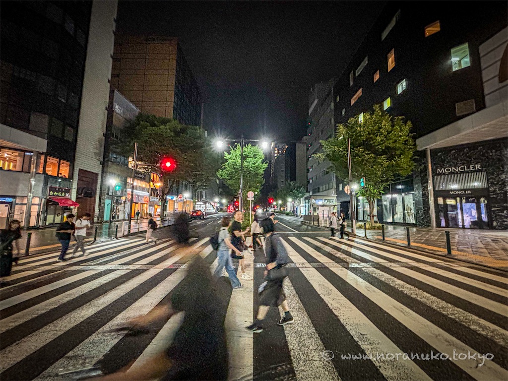 f:id:usakohiroshi242:20240630224741j:image