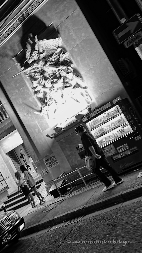 f:id:usakohiroshi242:20240810073027j:image