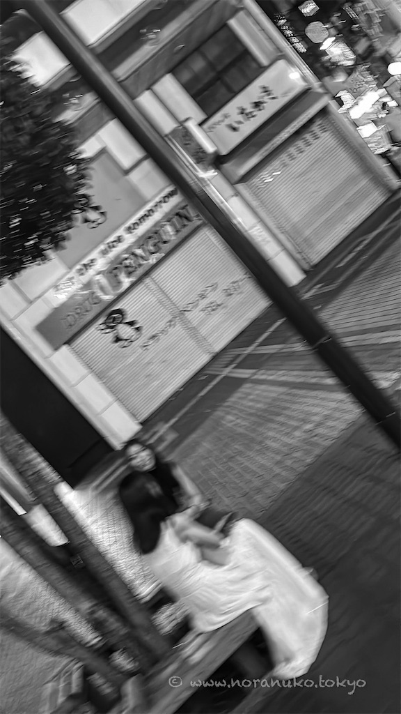 f:id:usakohiroshi242:20240810073035j:image