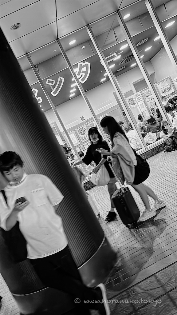 f:id:usakohiroshi242:20240810073042j:image