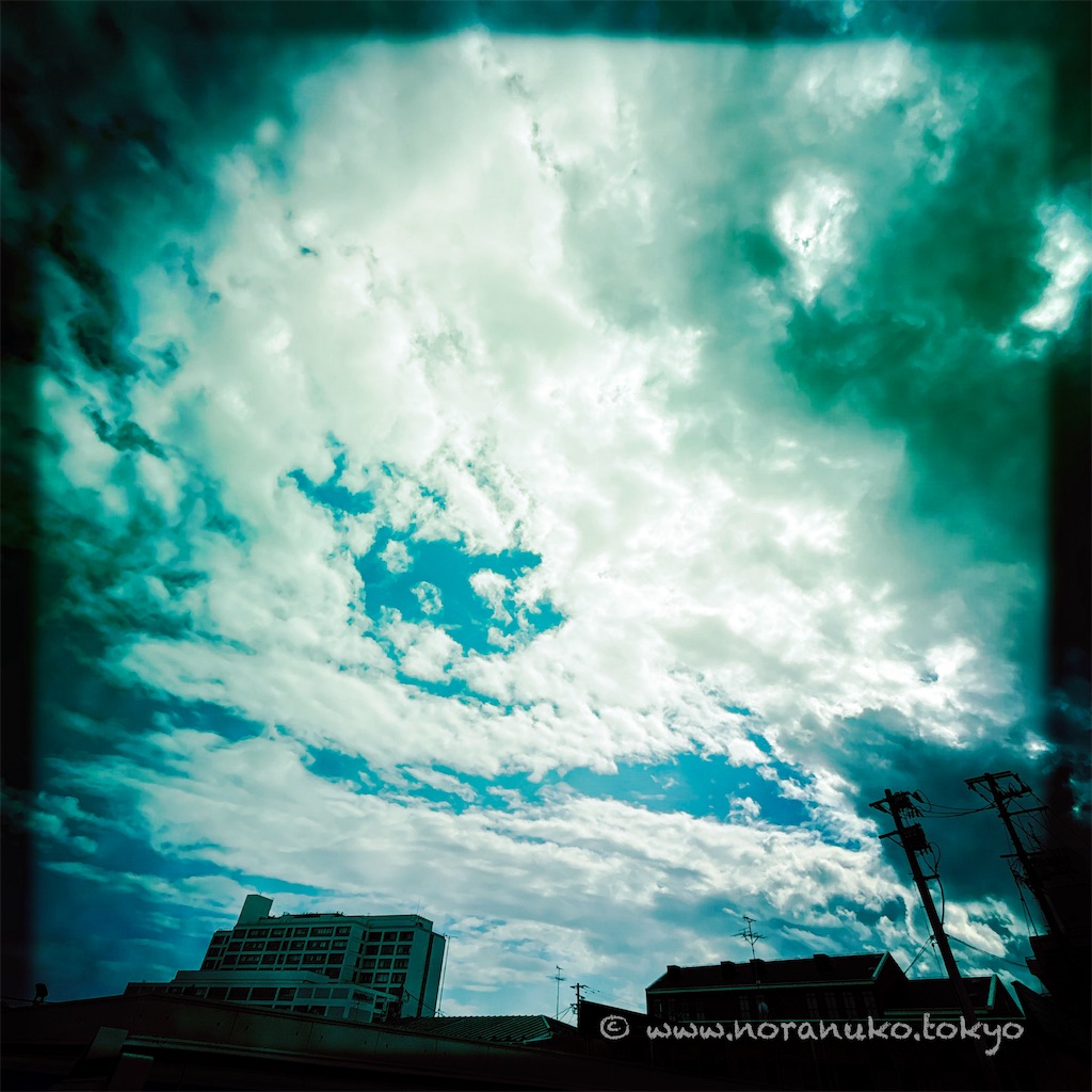 f:id:usakohiroshi242:20240914053606j:image
