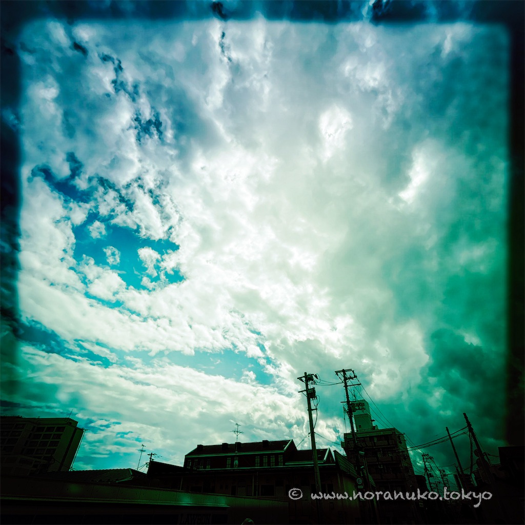 f:id:usakohiroshi242:20240914053617j:image