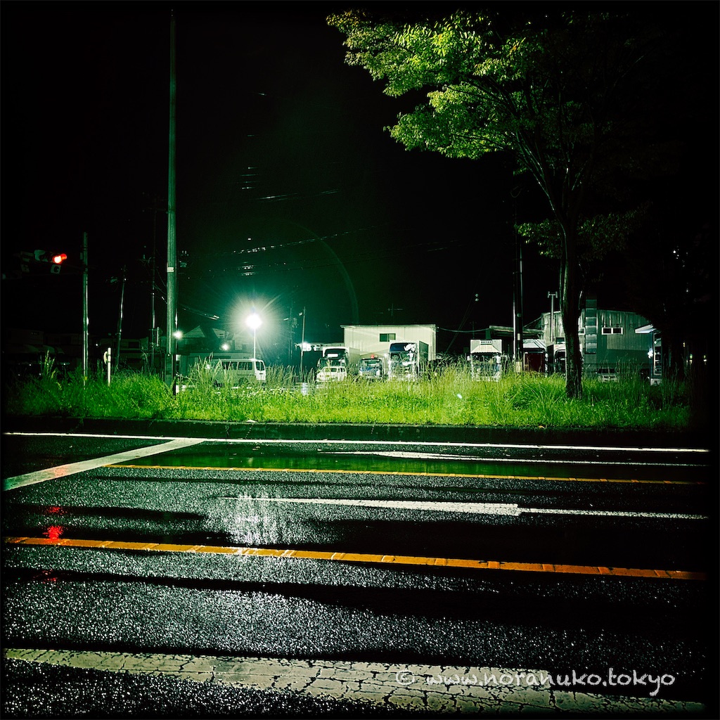 f:id:usakohiroshi242:20241009165840j:image