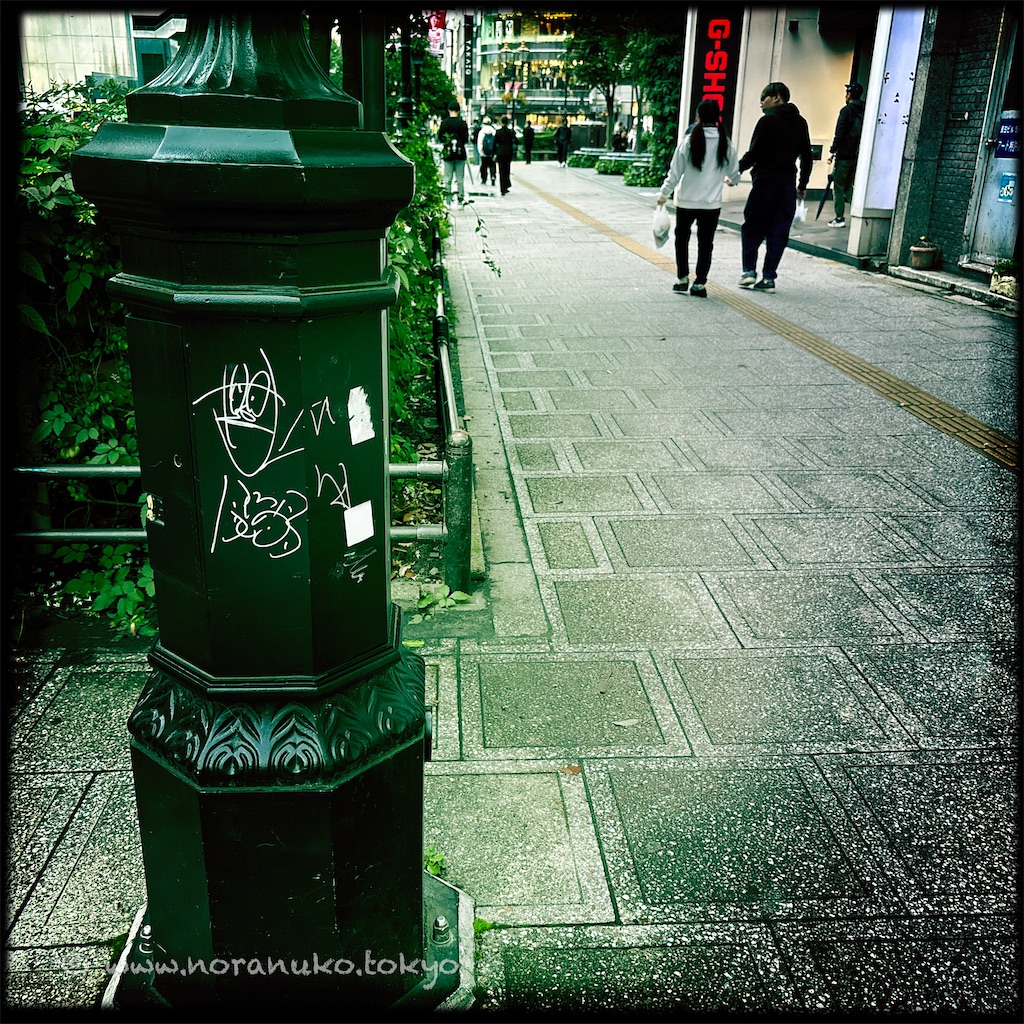f:id:usakohiroshi242:20241009165856j:image