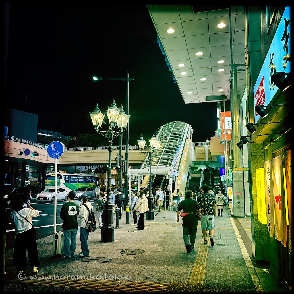 f:id:usakohiroshi242:20241013202052j:image