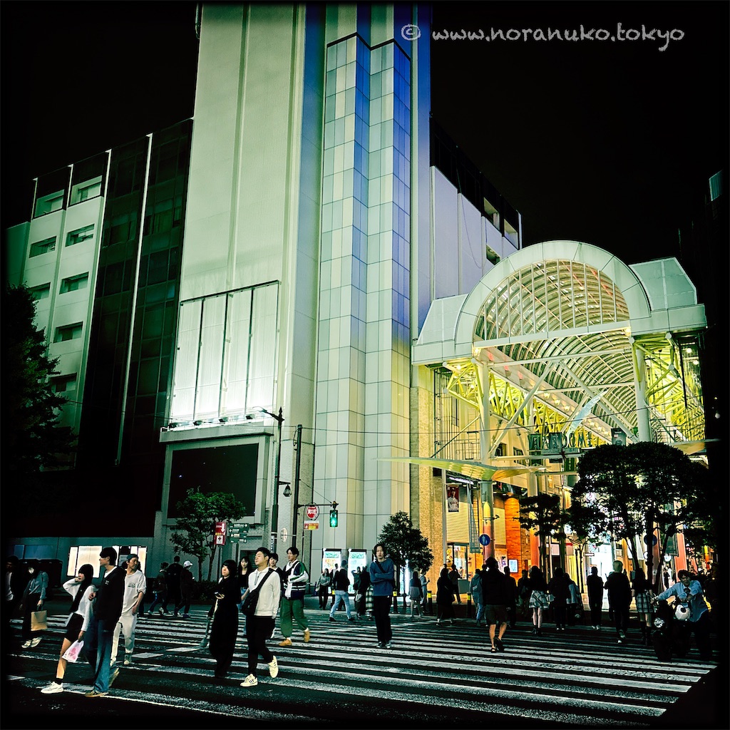 f:id:usakohiroshi242:20241014212335j:image