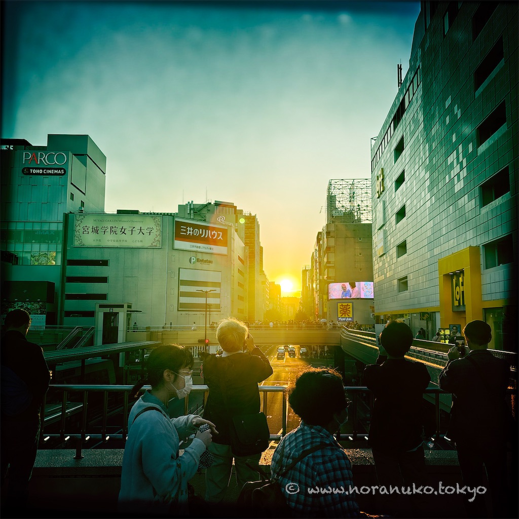 f:id:usakohiroshi242:20241025181107j:image