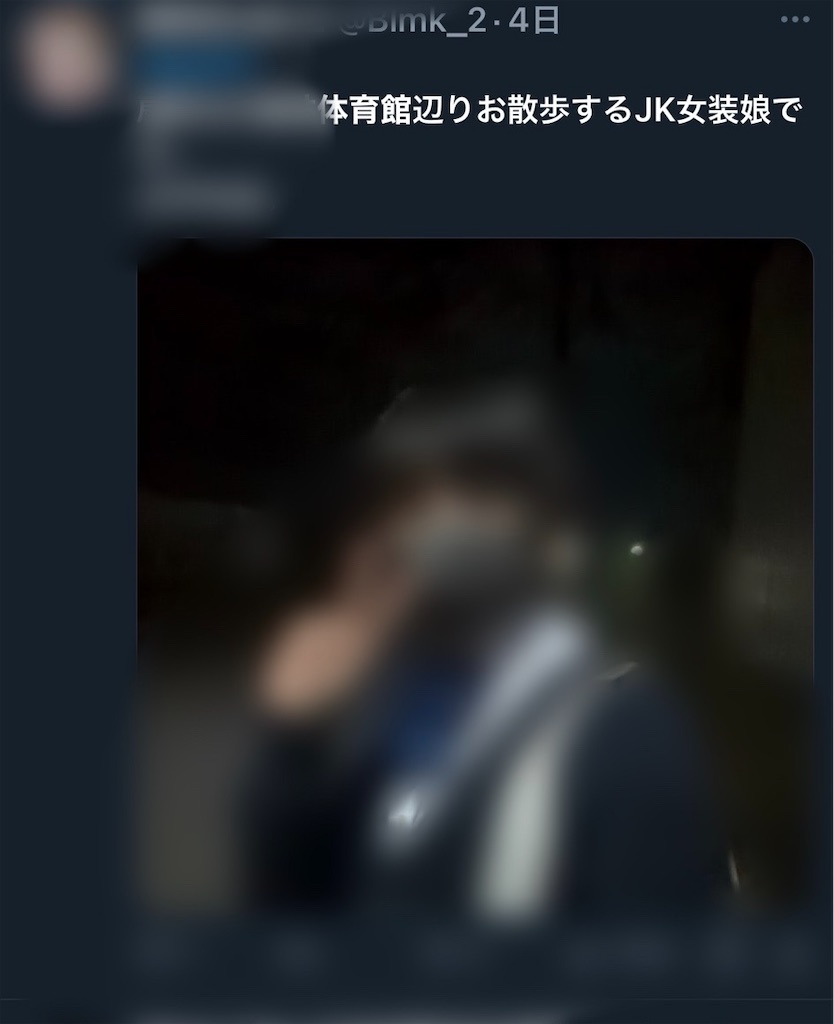 f:id:usakohiroshi242:20241026205304j:image