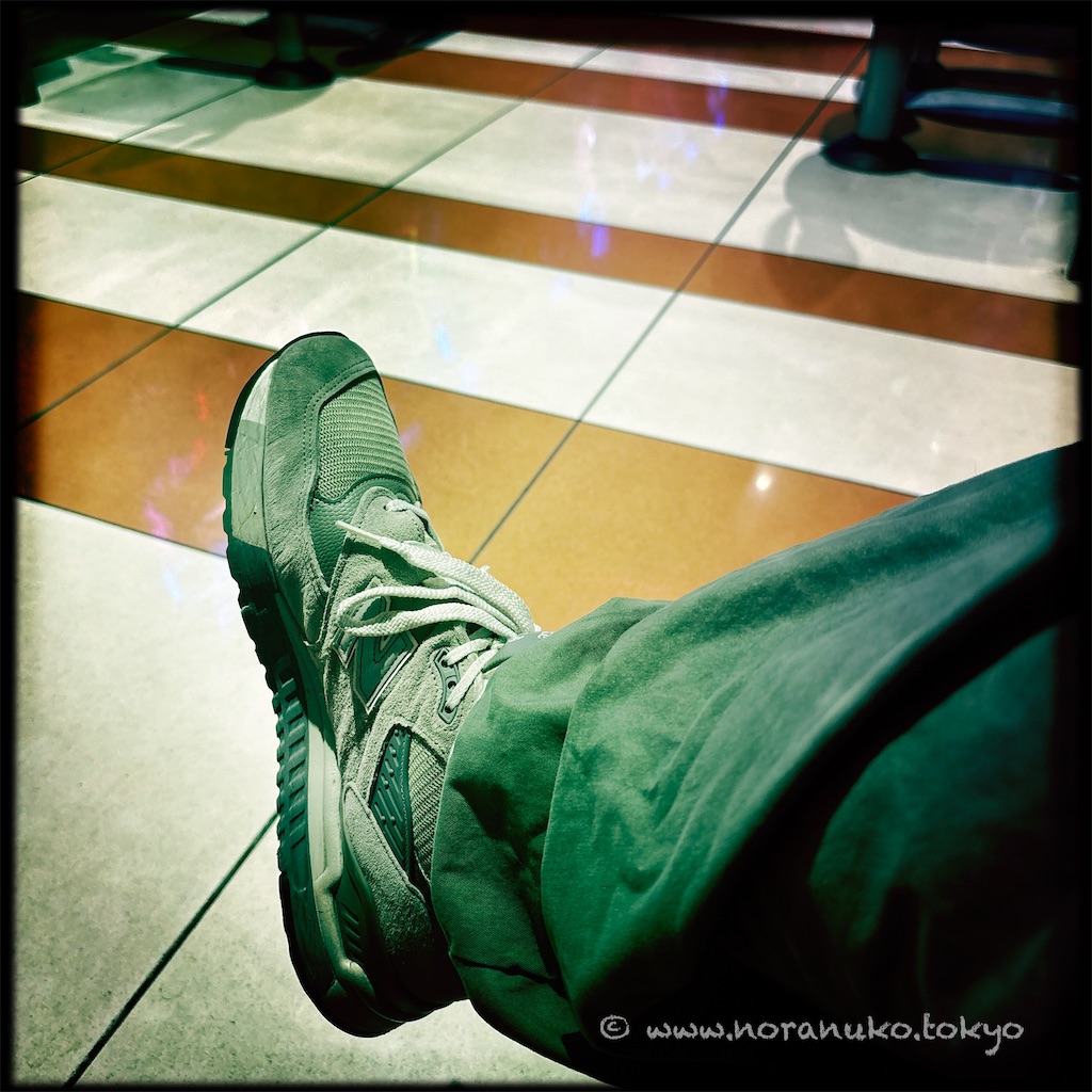 f:id:usakohiroshi242:20241028201155j:image