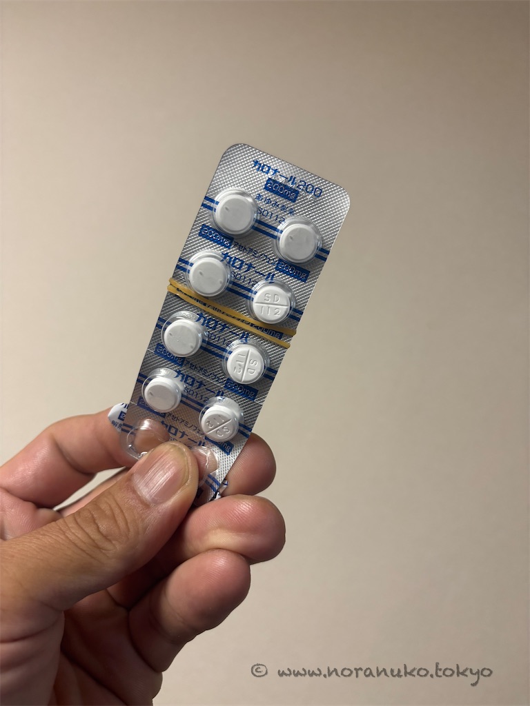 f:id:usakohiroshi242:20241115154031j:image f:id:usakohiroshi242:20241115154031j:image