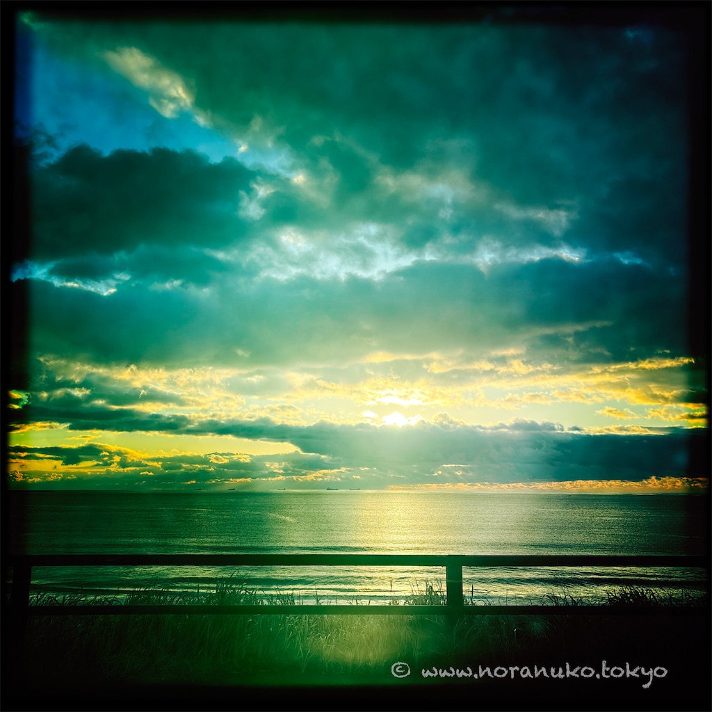 f:id:usakohiroshi242:20250103162724j:image