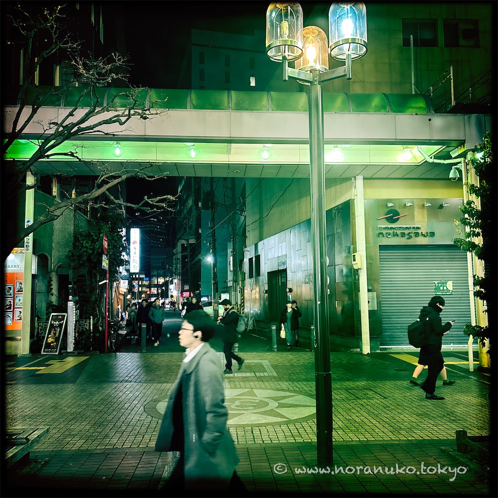 f:id:usakohiroshi242:20250216191610j:image