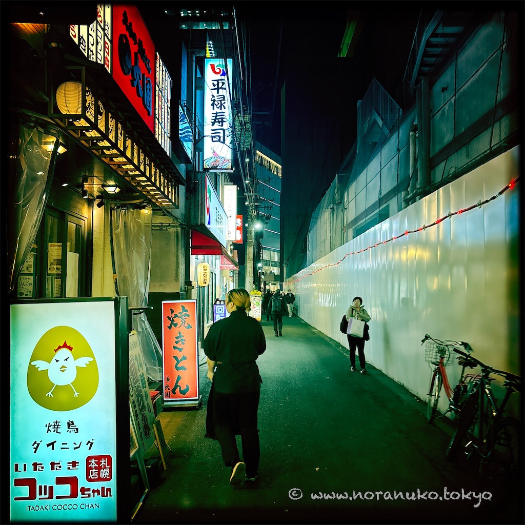 f:id:usakohiroshi242:20250216191621j:image
