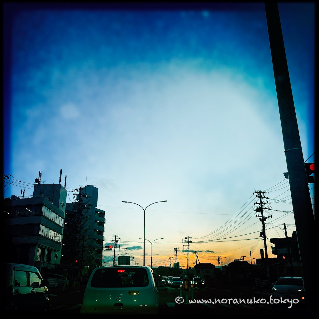 f:id:usakohiroshi242:20250424212043j:image