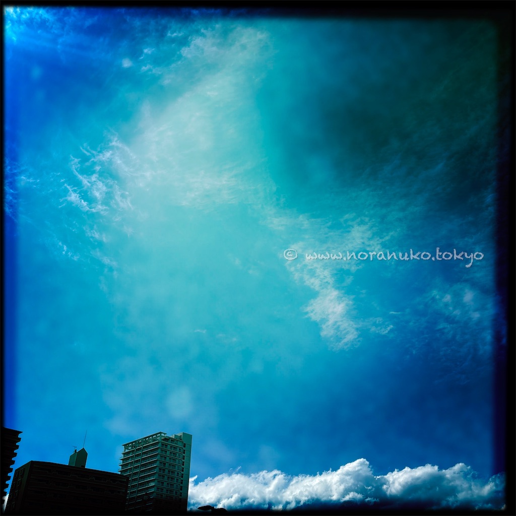 f:id:usakohiroshi242:20250504194209j:image
