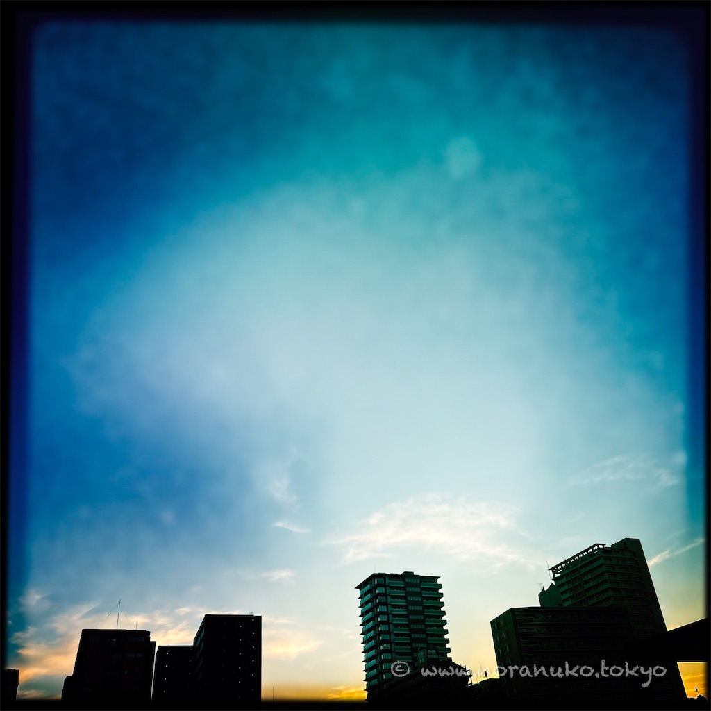f:id:usakohiroshi242:20250508204120j:image