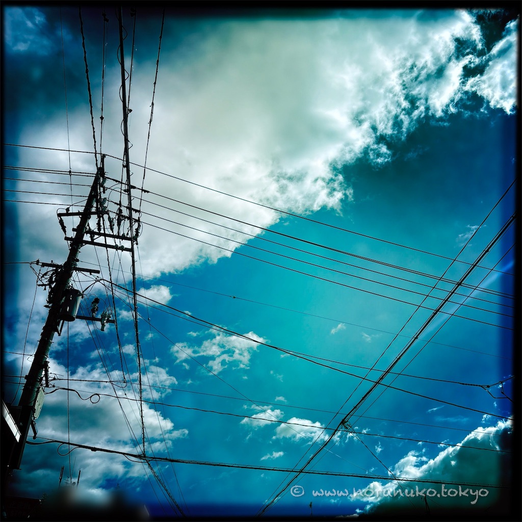 f:id:usakohiroshi242:20250511170002j:image