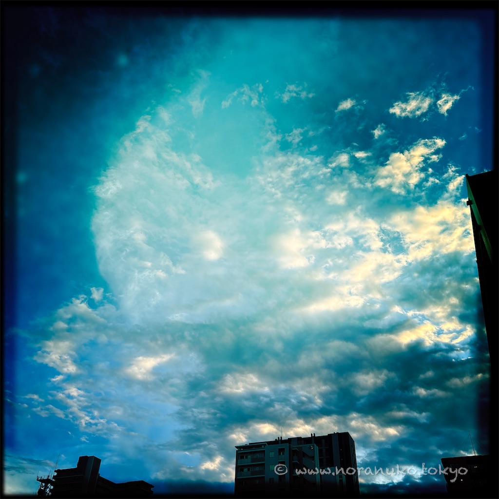 f:id:usakohiroshi242:20250517203906j:image