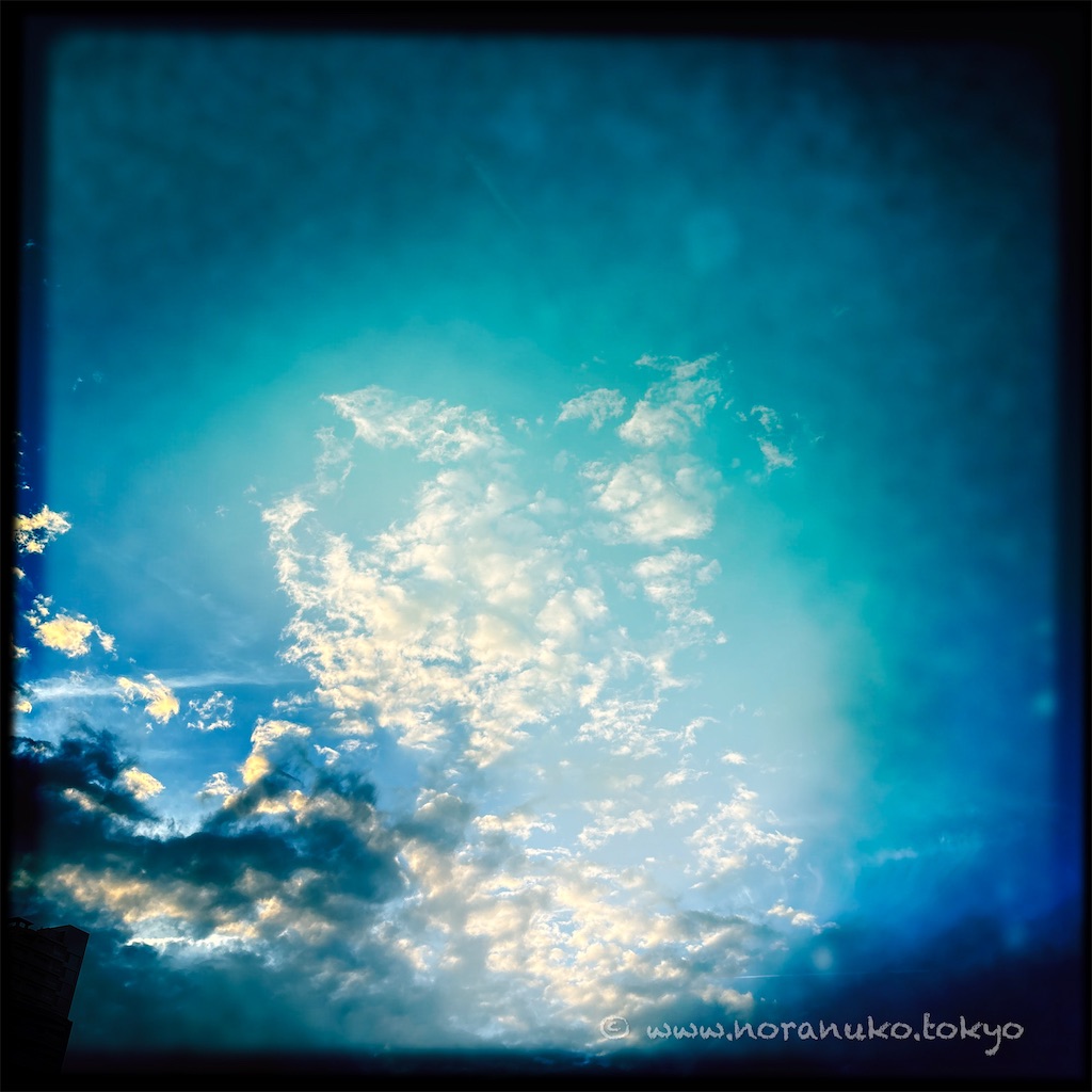 f:id:usakohiroshi242:20250517205332j:image
