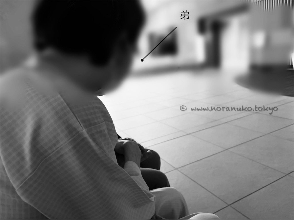 f:id:usakohiroshi242:20250615165214j:image