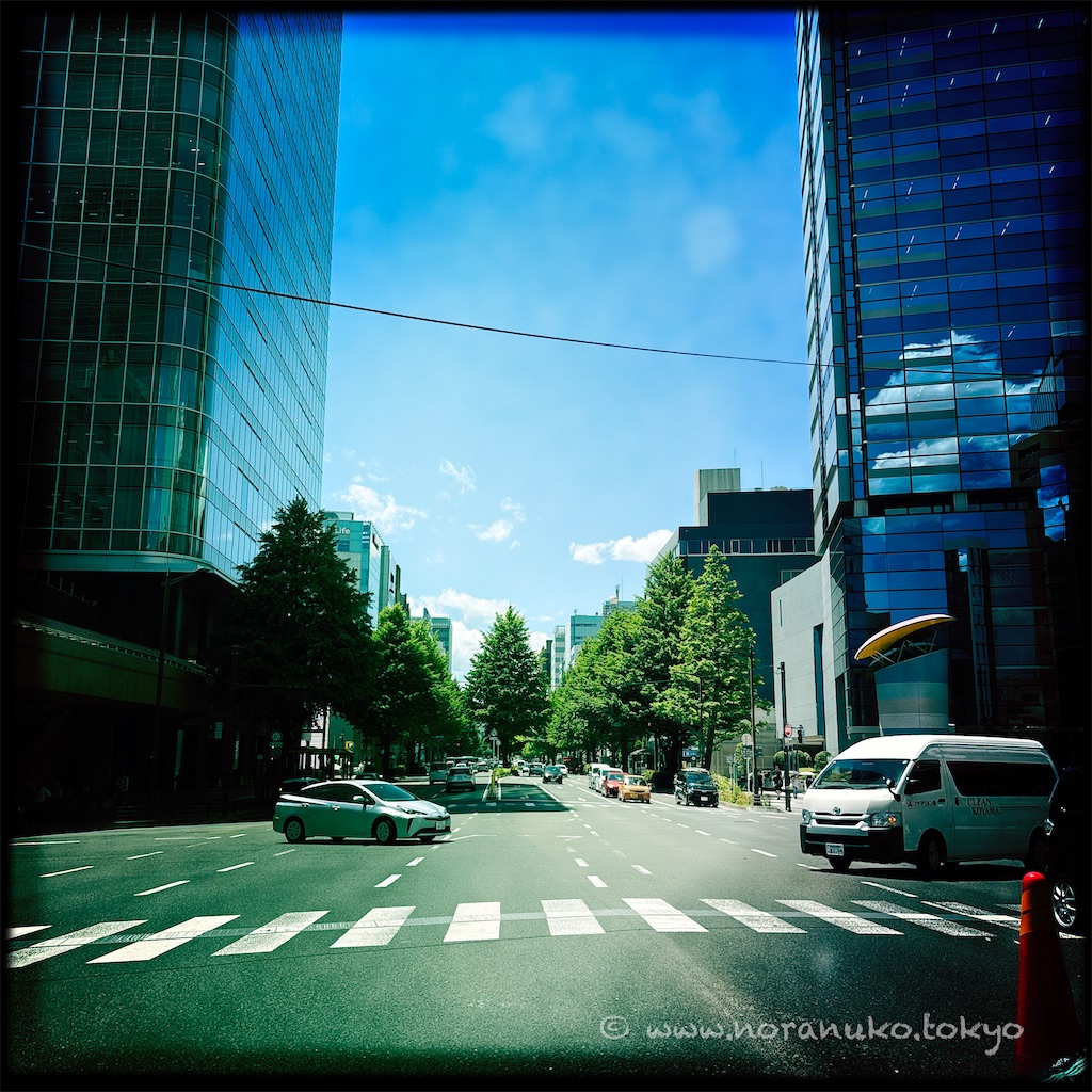 f:id:usakohiroshi242:20250617224107j:image