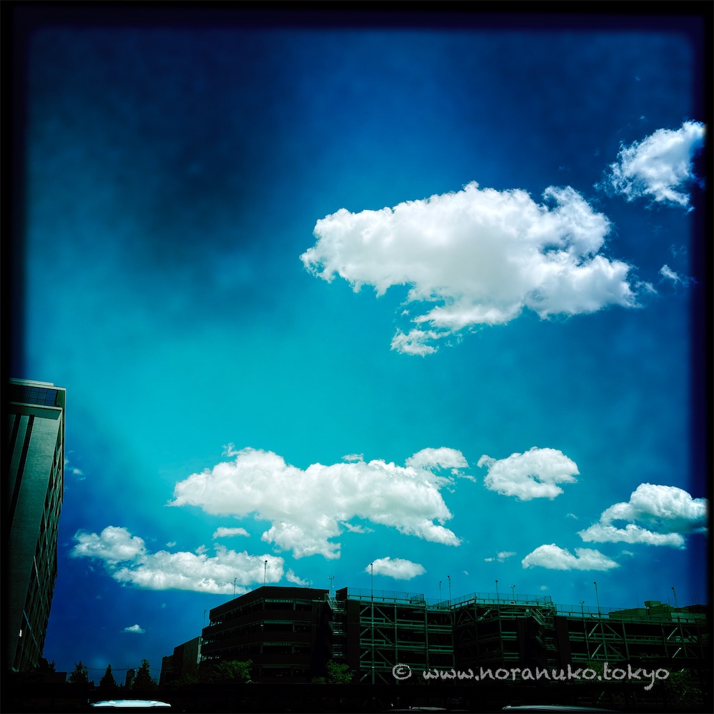 f:id:usakohiroshi242:20250617224657j:image