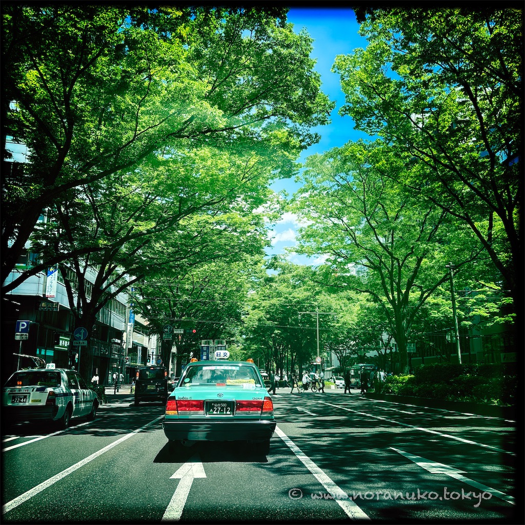 f:id:usakohiroshi242:20250617224803j:image
