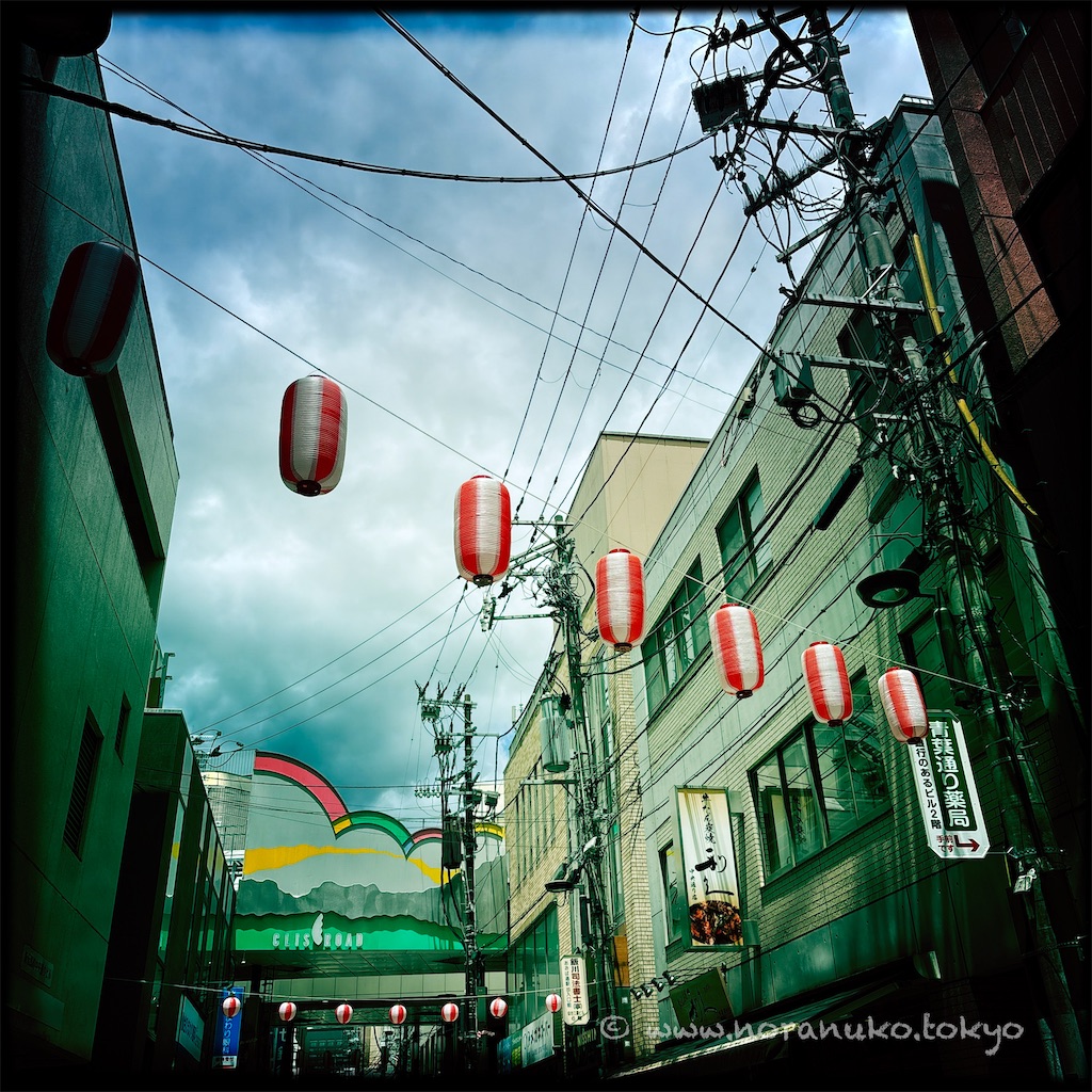 f:id:usakohiroshi242:20250627214152j:image