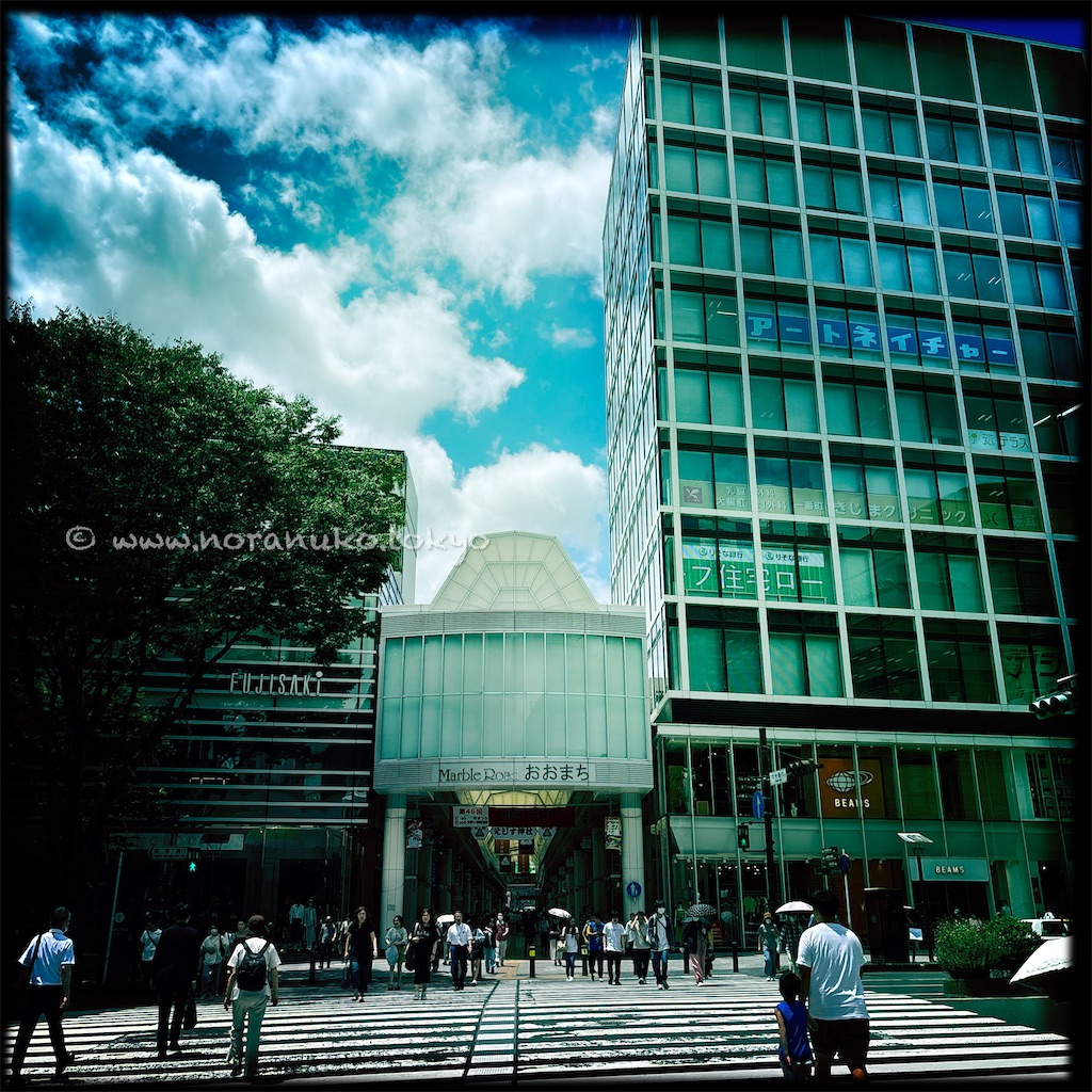 f:id:usakohiroshi242:20250627214206j:image