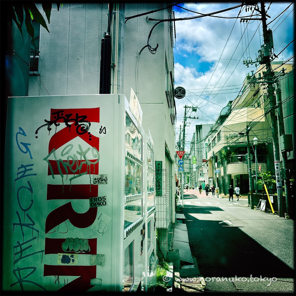 f:id:usakohiroshi242:20250627214224j:image