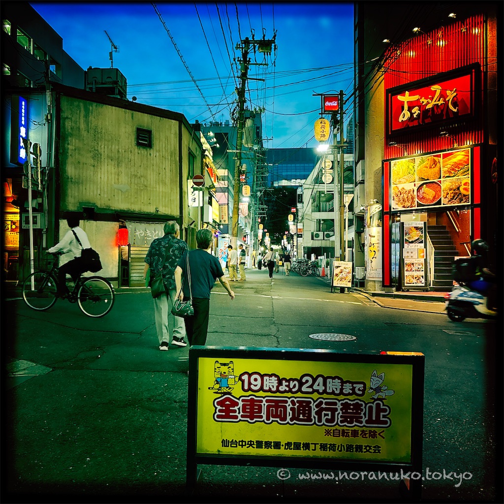 f:id:usakohiroshi242:20250703222354j:image
