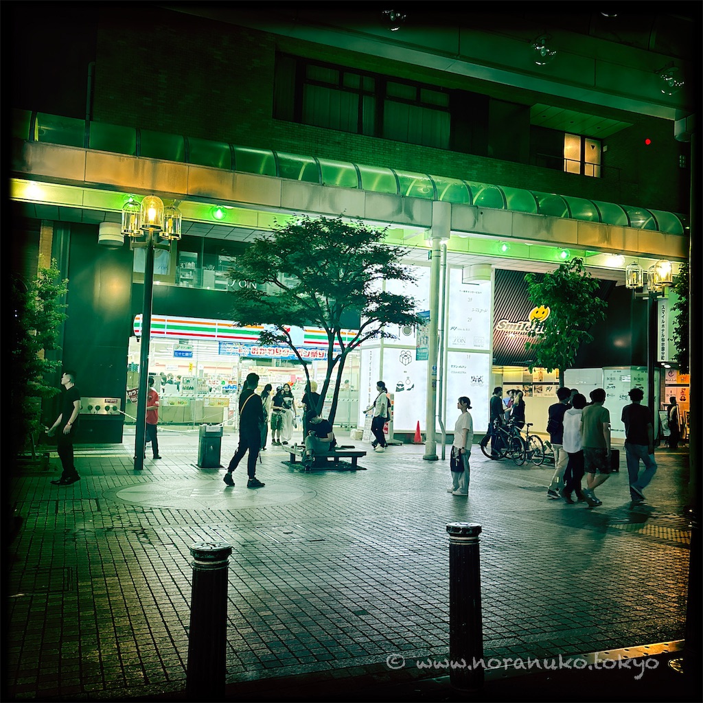 f:id:usakohiroshi242:20250705225907j:image