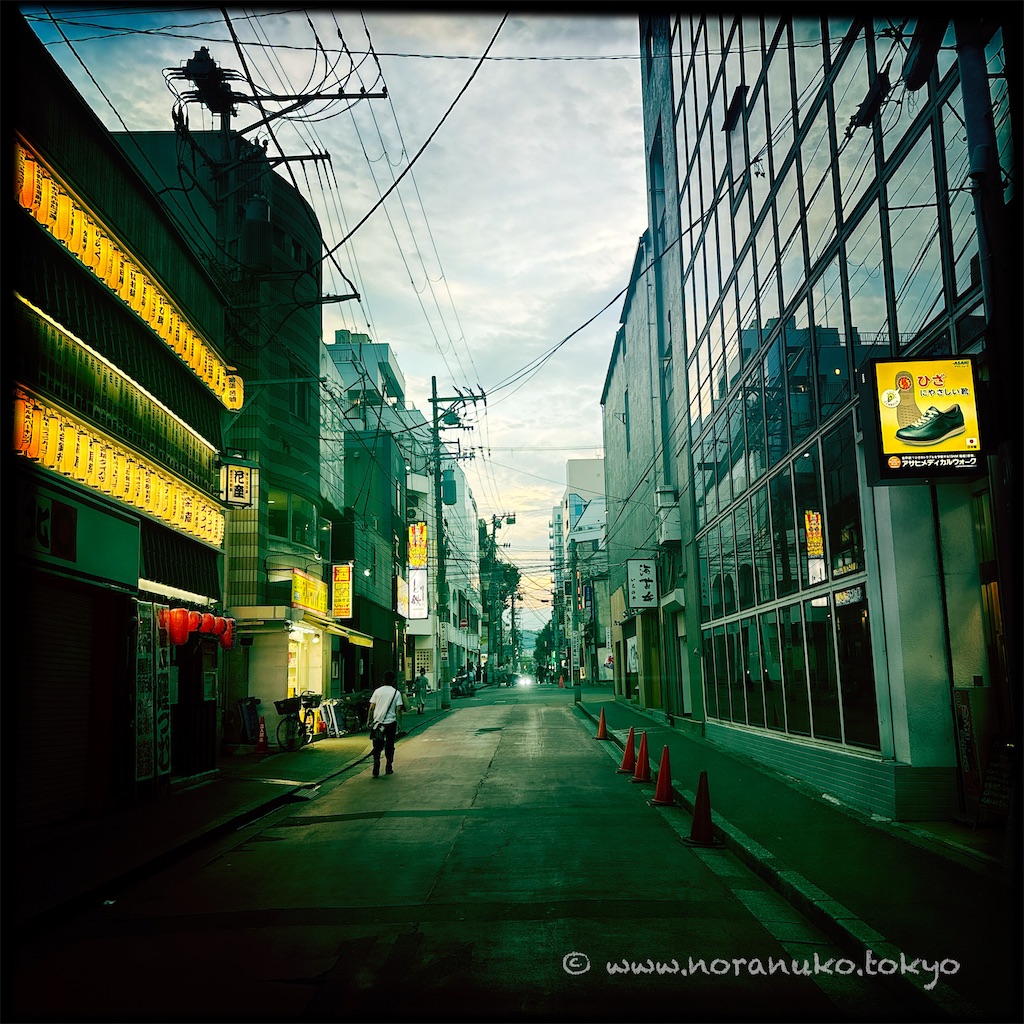 f:id:usakohiroshi242:20250727221240j:image