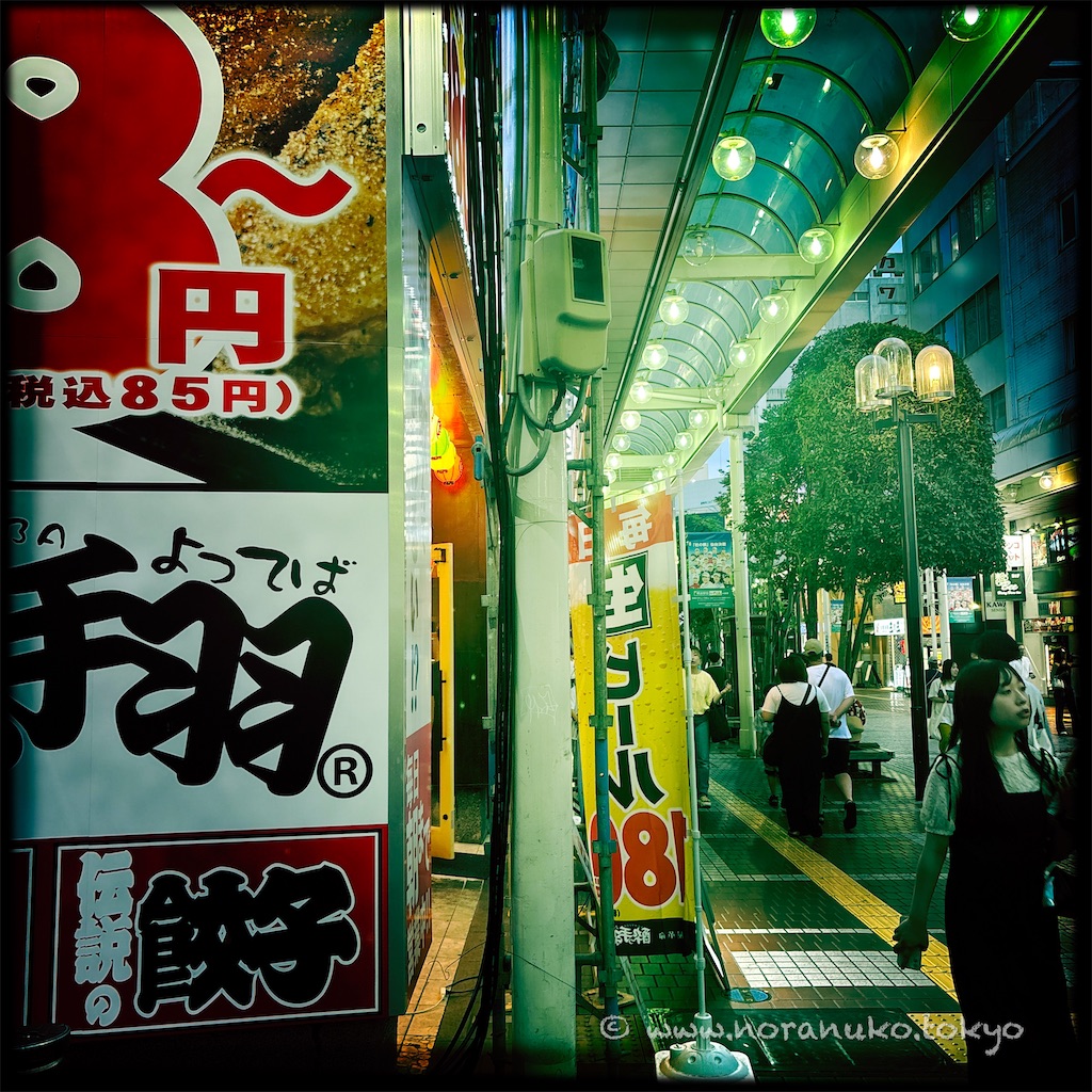 f:id:usakohiroshi242:20250727221247j:image