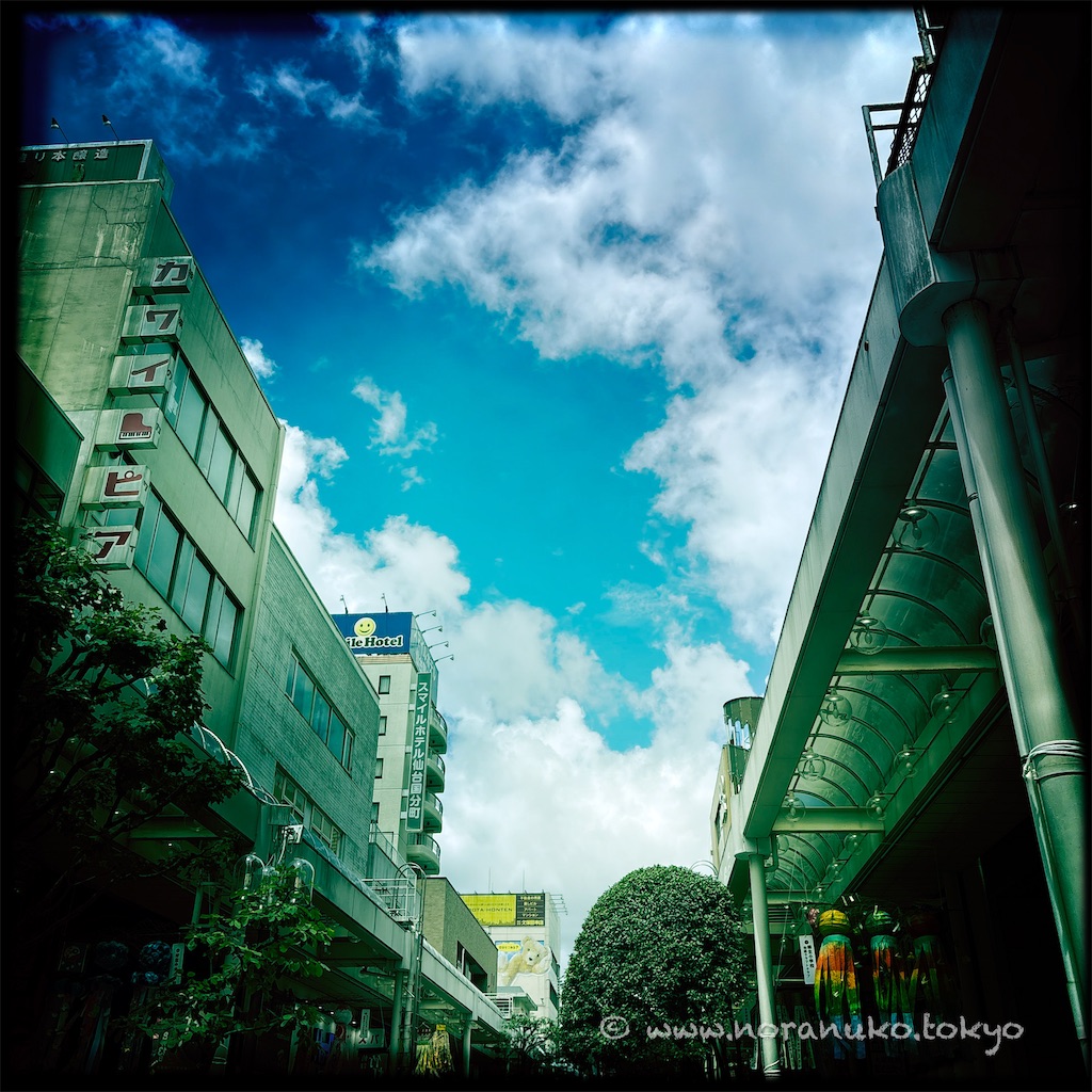 f:id:usakohiroshi242:20250803210502j:image