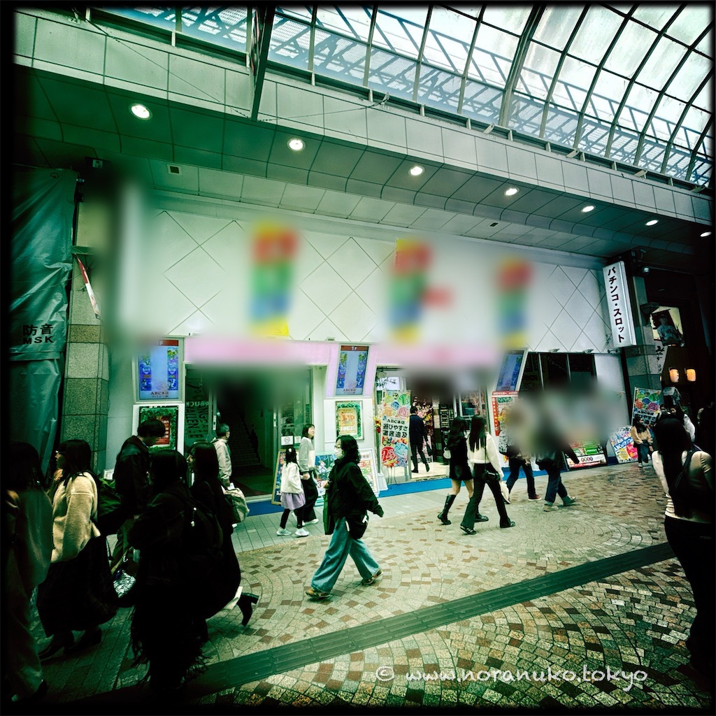 f:id:usakohiroshi242:20260320144357j:image