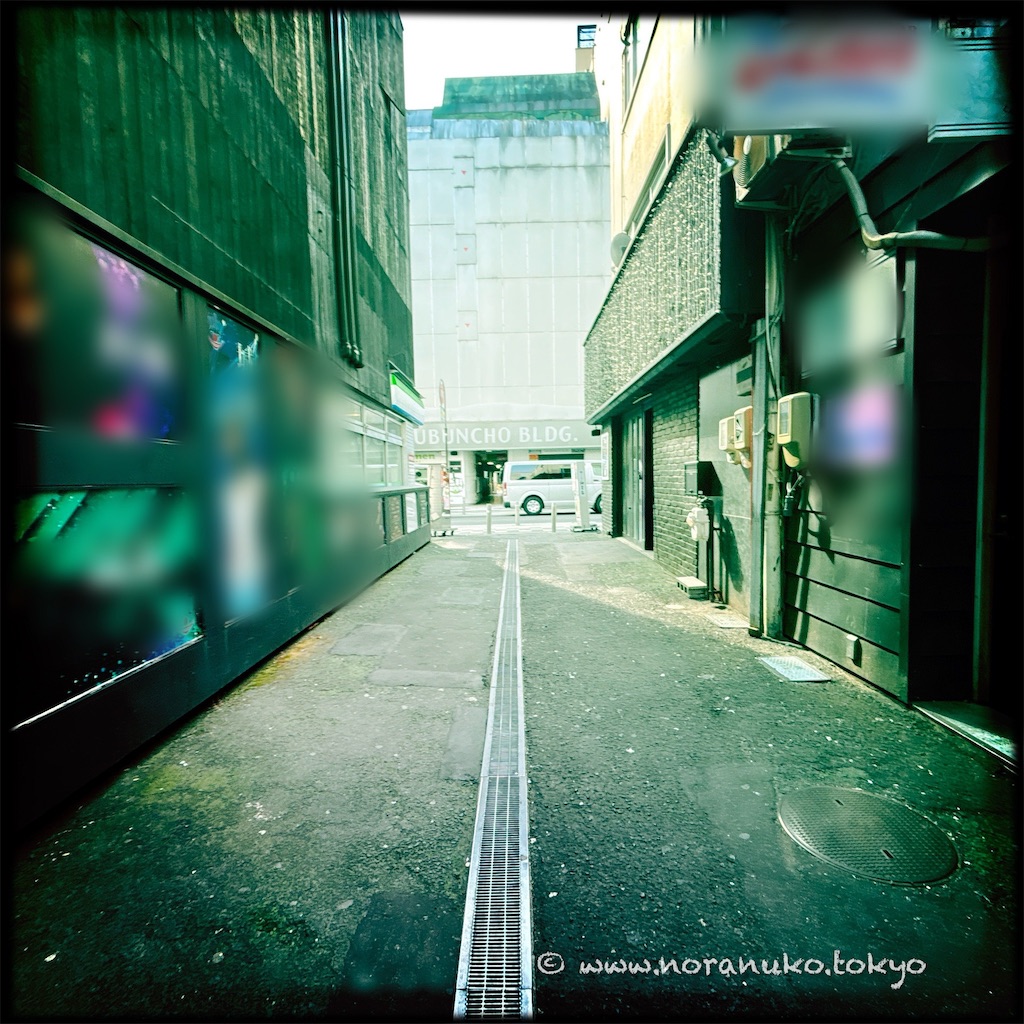 f:id:usakohiroshi242:20260320144438j:image