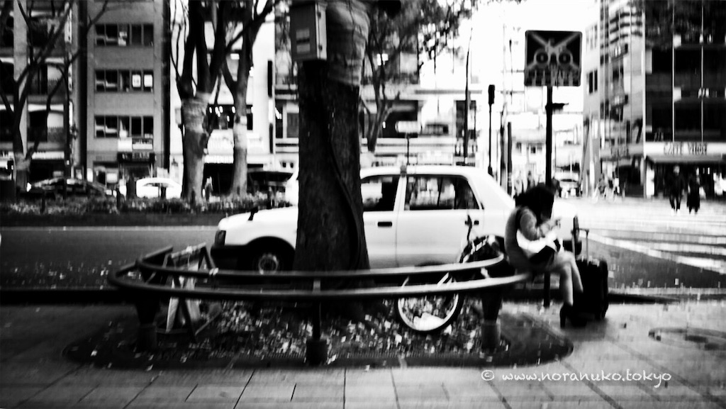 f:id:usakohiroshi242:20260323213031j:image