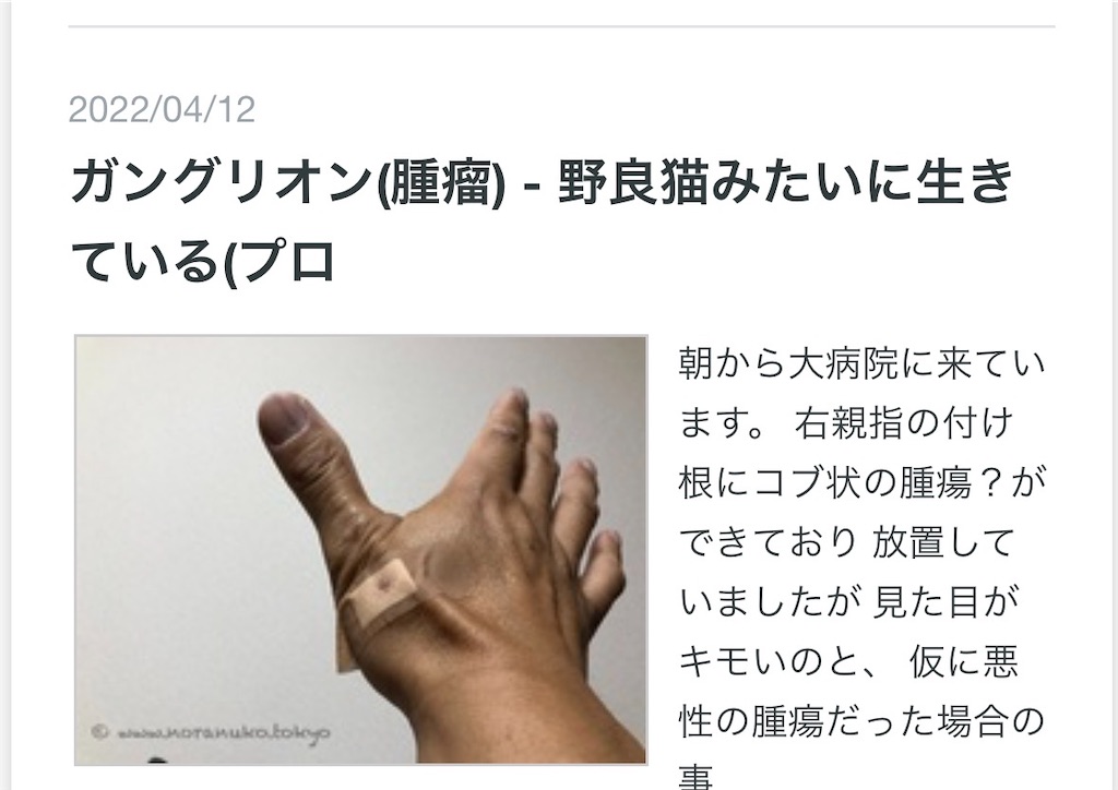 f:id:usakohiroshi242:20260413155657j:image f:id:usakohiroshi242:20260413155657j:image