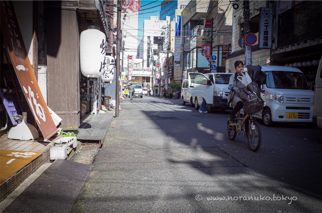 f:id:usakohiroshi242:20260414062507j:image