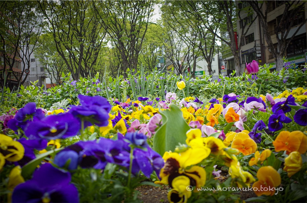 f:id:usakohiroshi242:20260426083115j:image f:id:usakohiroshi242:20260426083115j:image